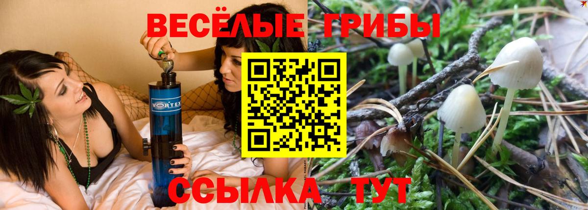 Псилоцибиновые грибы мухоморы Жигулёвск