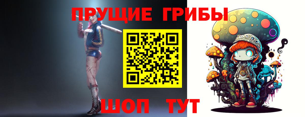 Псилоцибиновые грибы GOLDEN TEACHER  Вход с VPN  Жигулёвск 